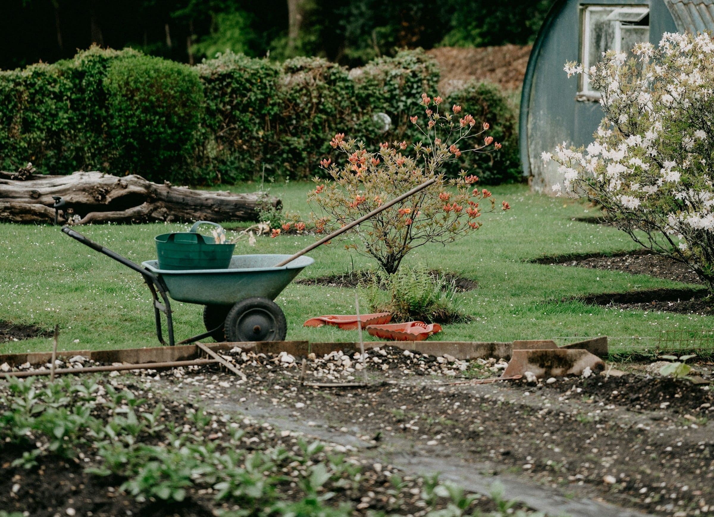 Outdoor & Garden